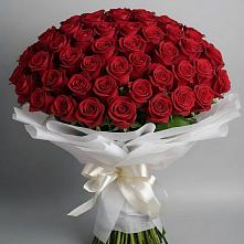 Букет 101 Красная роза Блэк Мэджик в Сокольниково