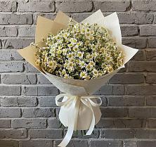Букет цветов из:  Ромашки в Сокольниково