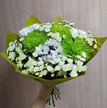 Букет цветов из:  Хризантемы #REPLACE_PRED# Сокольниково