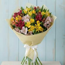 Букет цветов из:  Альстромерии #REPLACE_PRED# Сокольниково