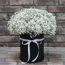 Цветочная композиция из Гипсофила в шляпной коробке в Сокольниково