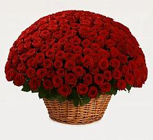 Премиум букет из: Розы в Сокольниково