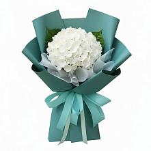 Букет цветов из:  Гортензия в Сокольниково